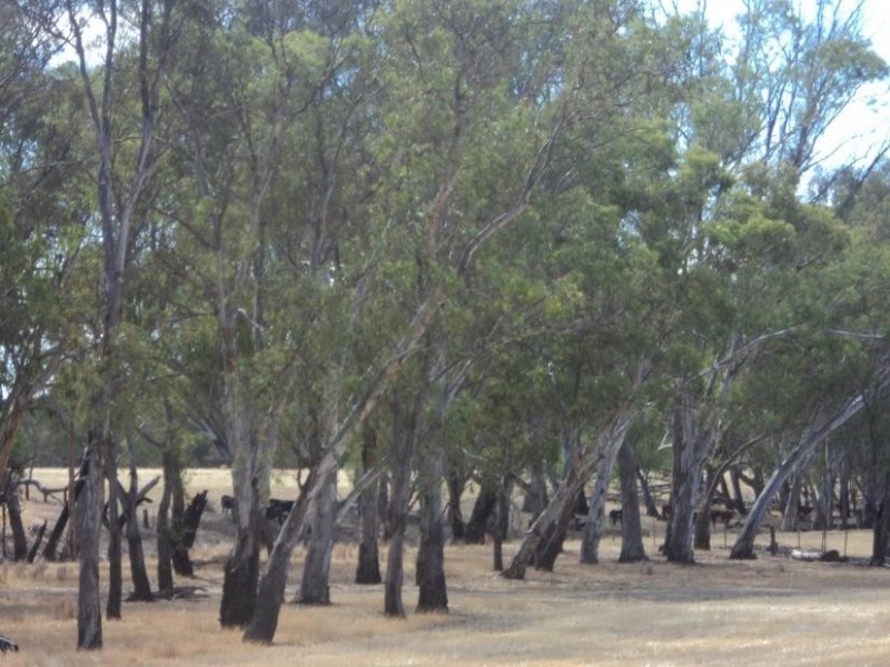 84 Matheson Road, Echuca VIC 3564