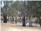 84 Matheson Road, Echuca VIC 3564