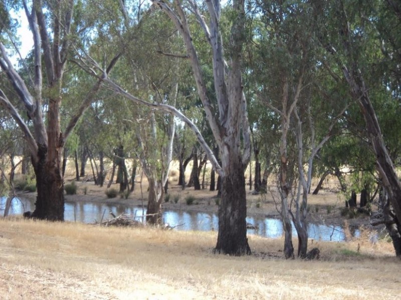 84 Matheson Road, Echuca VIC 3564