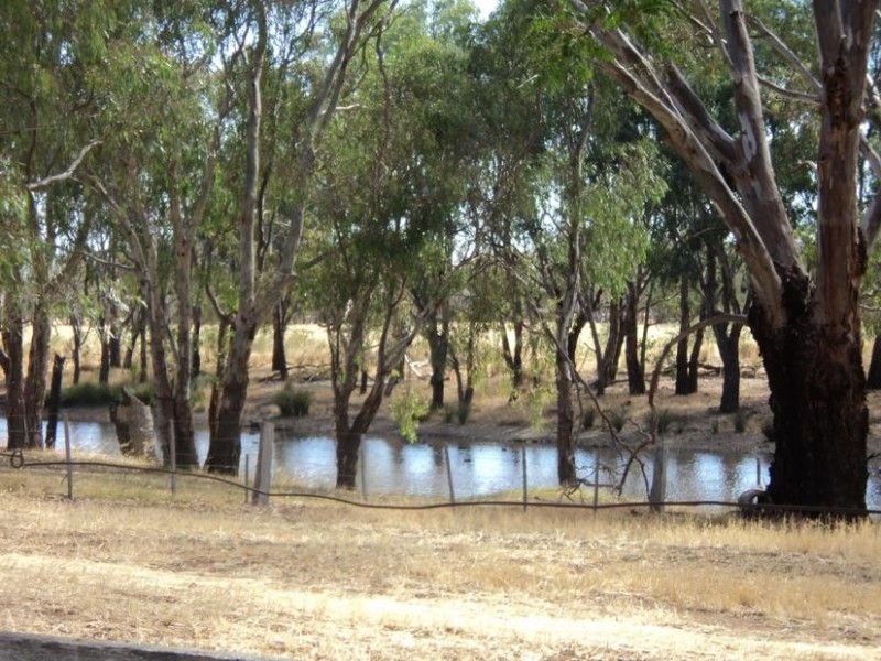 84 Matheson Road, Echuca VIC 3564