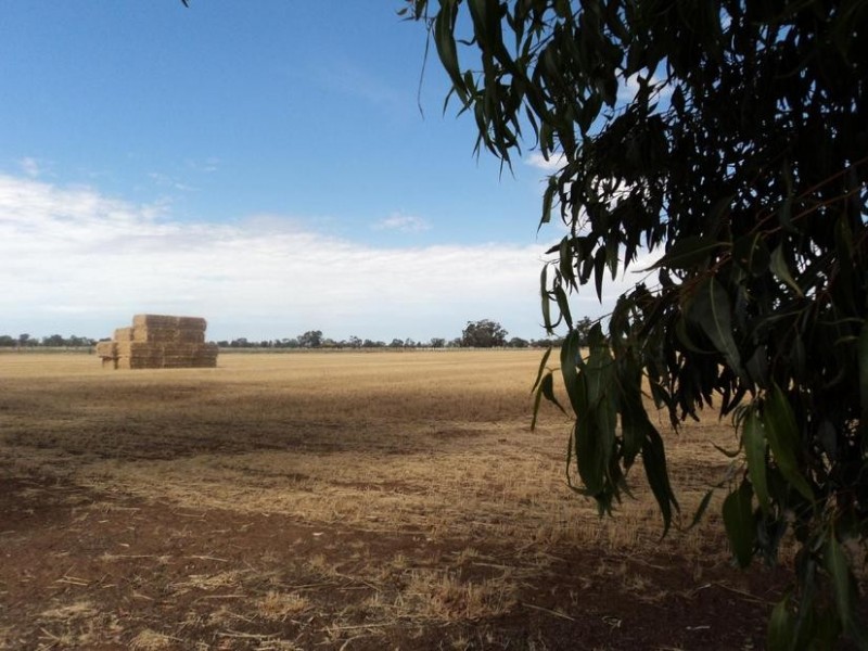 84 Matheson Road, Echuca VIC 3564