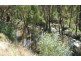 50 Moama Street, Mathoura NSW 2710