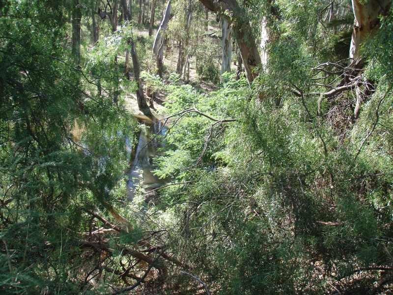 50 Moama Street, Mathoura NSW 2710