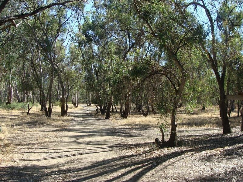 61 Pakenham Street, Echuca VIC 3564