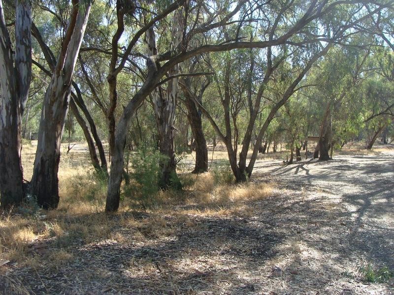 61 Pakenham Street, Echuca VIC 3564