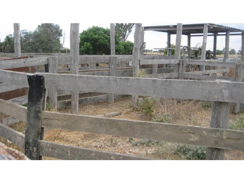 1239 McBain Road, Tongala VIC 3621