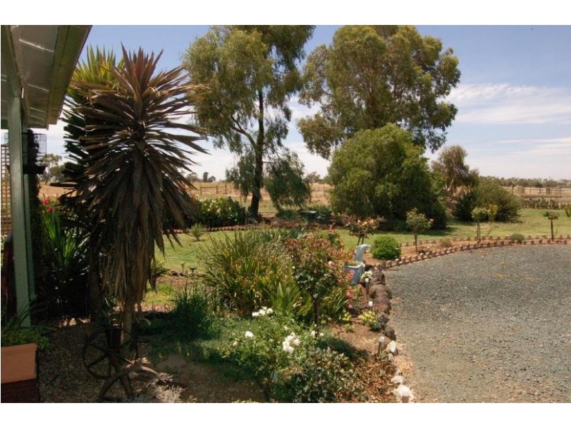 988 Echuca-Mitiamo Road, Echuca VIC 3564