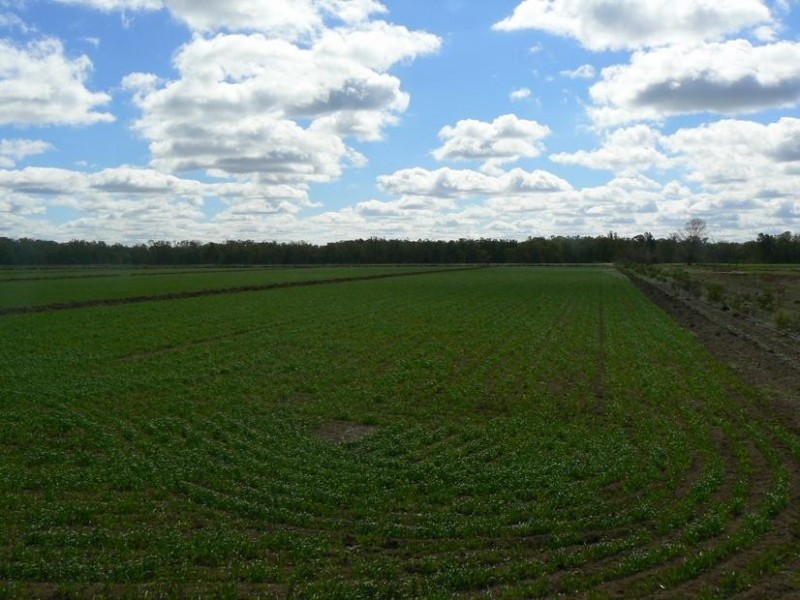 86 Nolan Road, Echuca VIC 3564