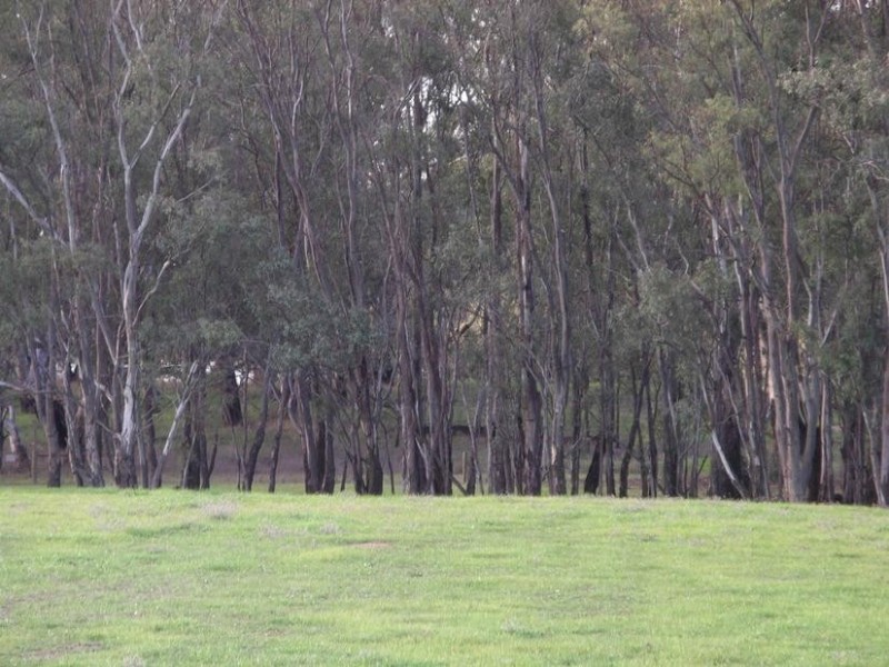 86 Nolan Road, Echuca VIC 3564