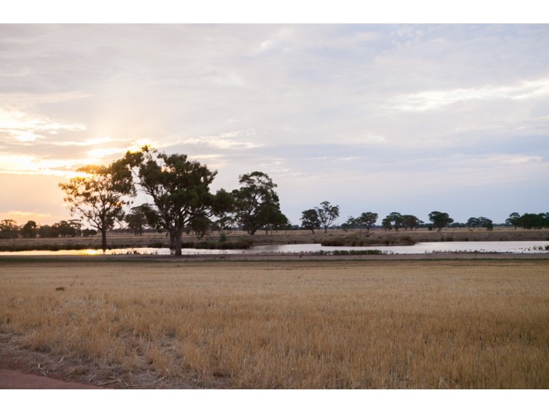 170 Thyra Road, Moama NSW 2731