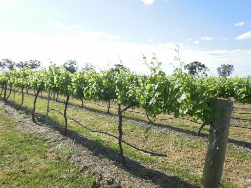 2, 3 & 17 Stevensbrook Estate, Tatalia Road, Moama NSW 2731