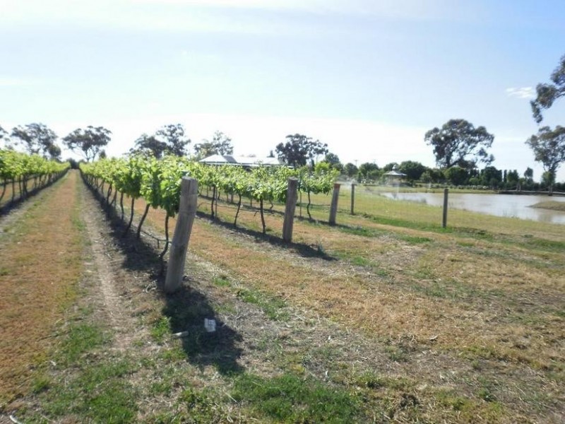 2, 3 & 17 Stevensbrook Estate, Tatalia Road, Moama NSW 2731