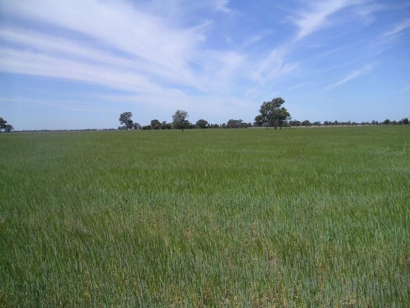 314 24 Lane, Moama NSW 2731