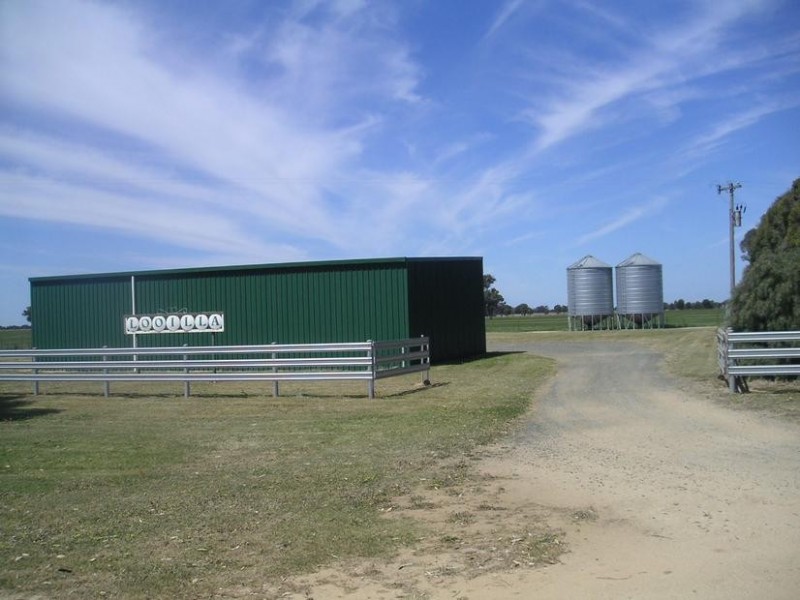 314 24 Lane, Moama NSW 2731