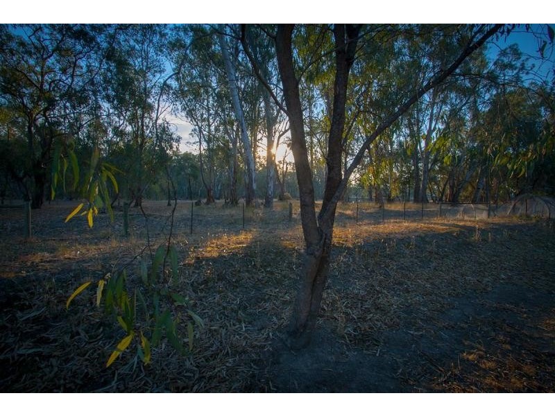 12 Riverview Drive, Barmah VIC 3639