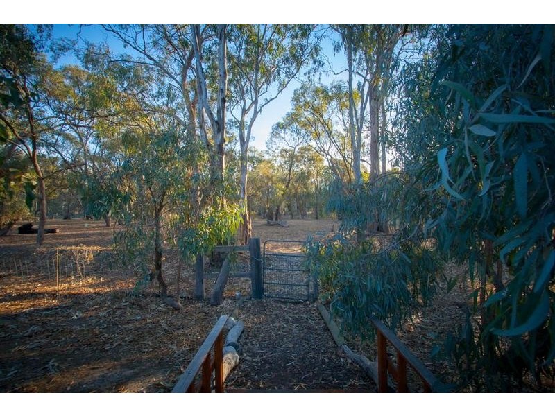 12 Riverview Drive, Barmah VIC 3639