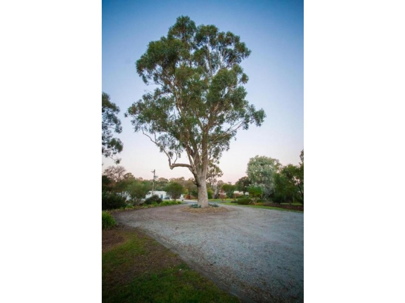 195 Wharparilla Drive, Echuca VIC 3564