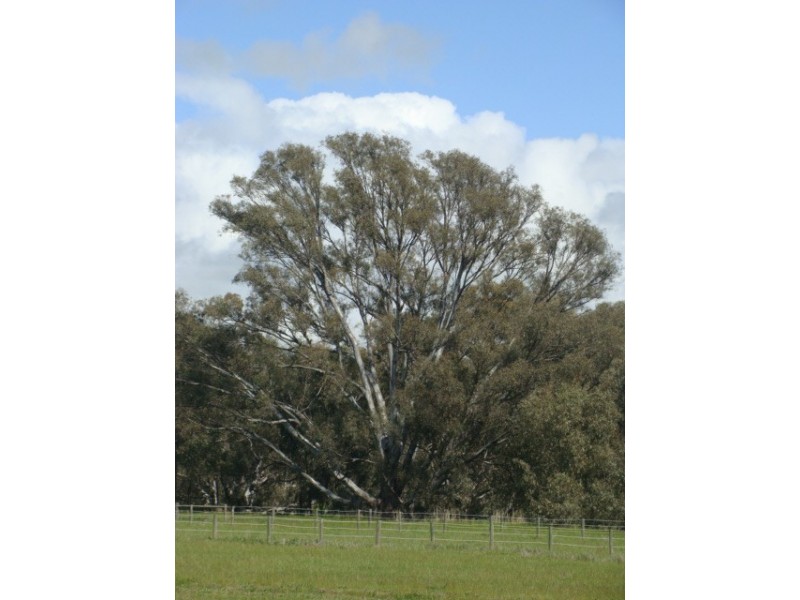598 Anderson Road, Echuca VIC 3564