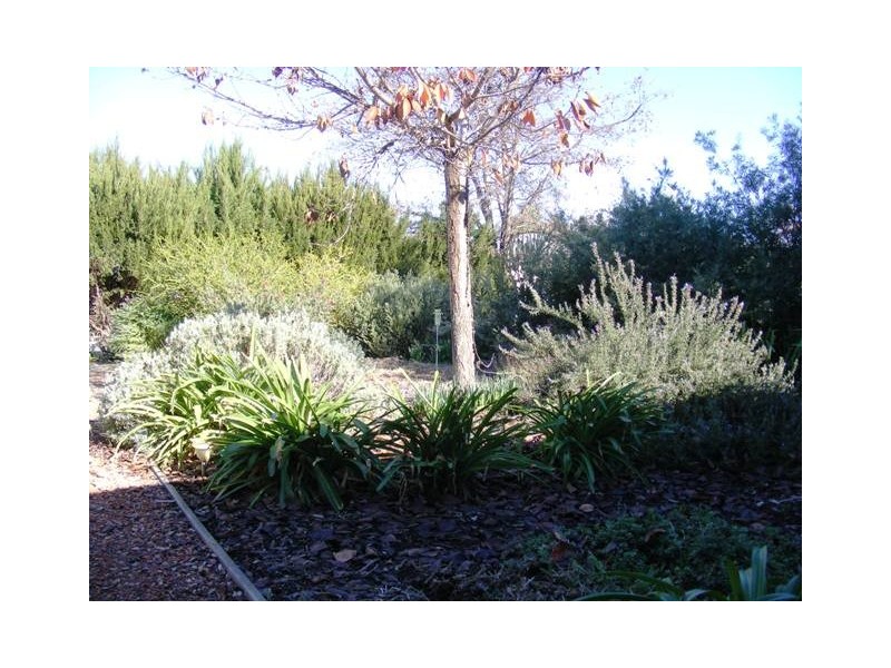 10 Shetland Drive, Moama NSW 2731