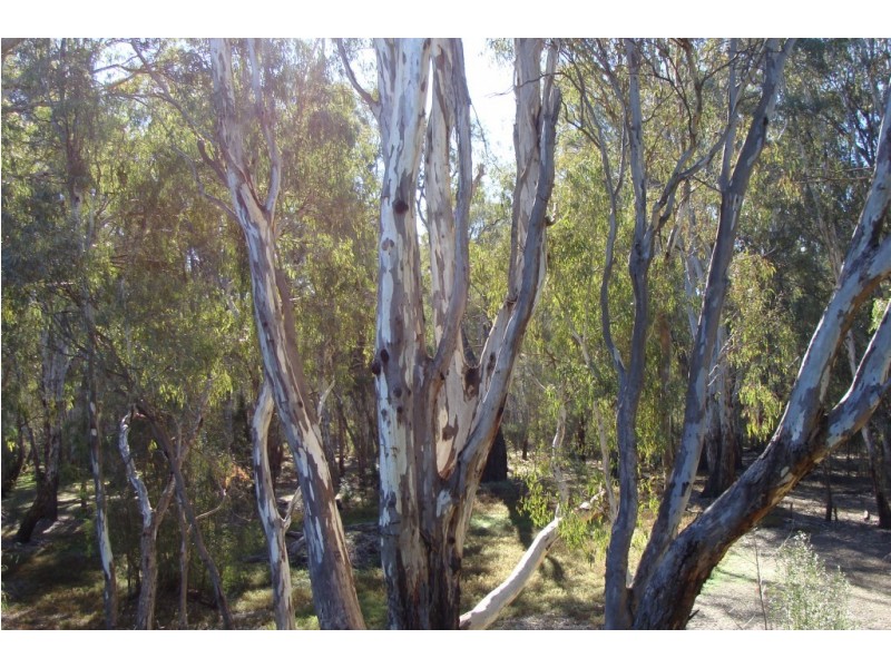 7 Dolan Court, Mathoura NSW 2710