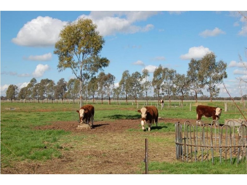 66a Stratton Road, Echuca VIC 3564