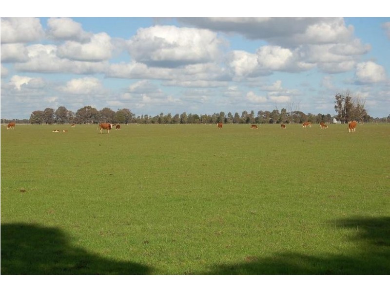 66a Stratton Road, Echuca VIC 3564