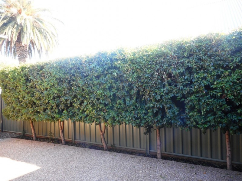 1/116 Sutton Street, Echuca VIC 3564