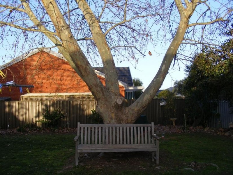 25 Jacana Avenue, Moama NSW 2731