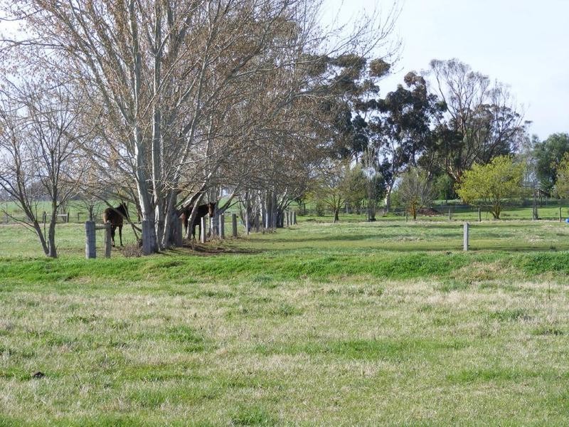 1167 Castle Road, Koyuga VIC 3622