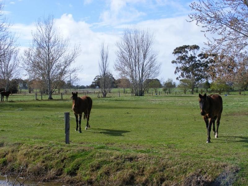 1167 Castle Road, Koyuga VIC 3622