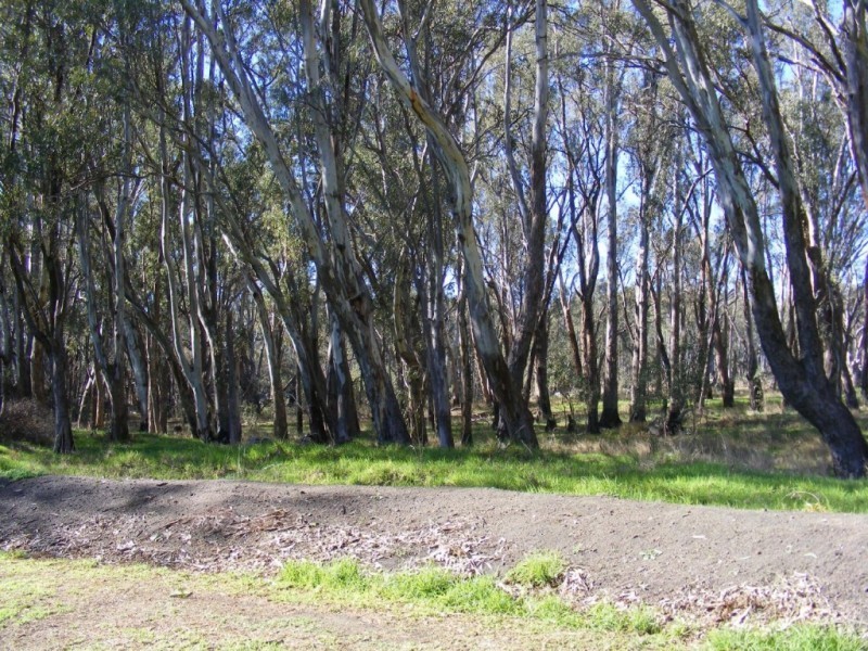 7 Evans Street, Barmah VIC 3639