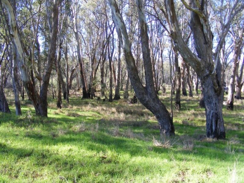 7 Evans Street, Barmah VIC 3639