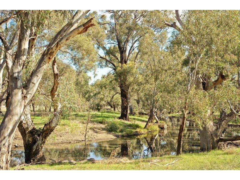 49 Matheson Road, Echuca VIC 3564