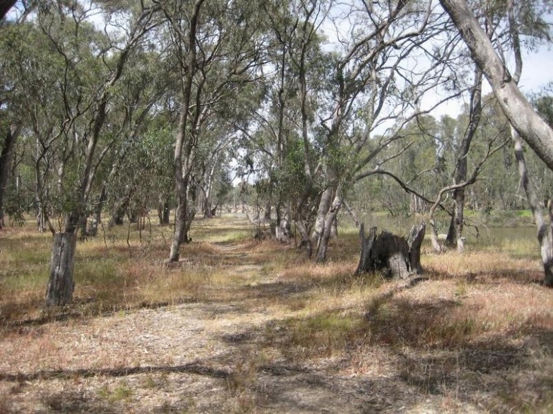 16 Riverview Drive, Barmah VIC 3639