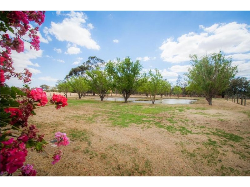 21 Maidensmith Drive, Moama NSW 2731