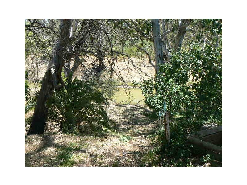 115 Campaspe Esplanade, Echuca VIC 3564