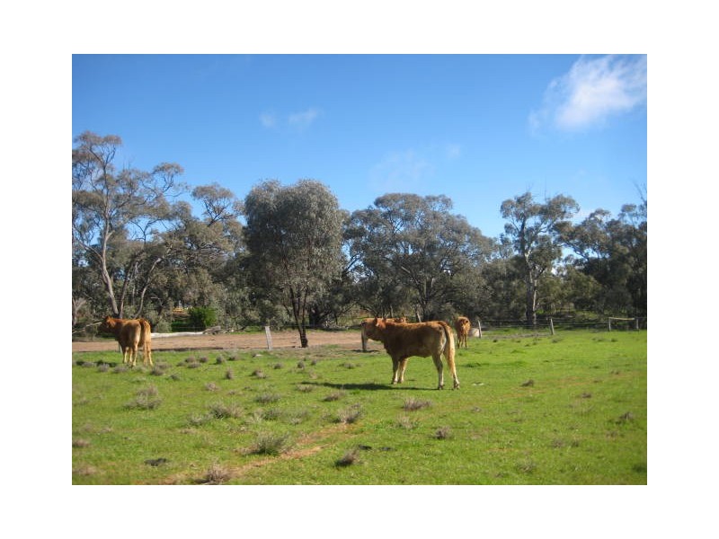 1 Nolan Road (enter off Casey Rd), Echuca VIC 3564