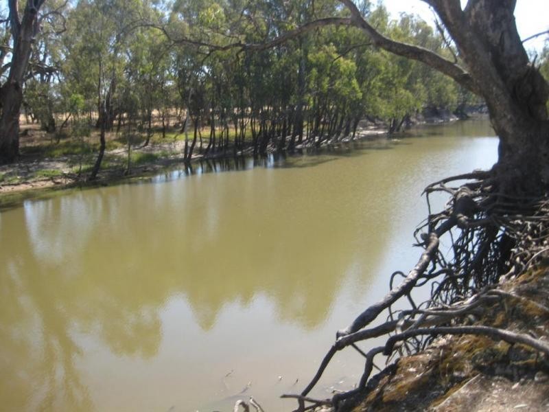 155 Woodbine Drive, Barmah VIC 3639