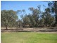 155 Woodbine Drive, Barmah VIC 3639