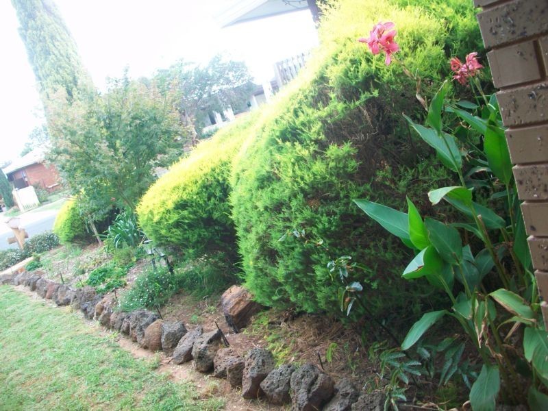 68 Shackell Street, Echuca VIC 3564