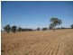 1 Cnr McKindlay Lane & Perricoota Road, Moama NSW 2731