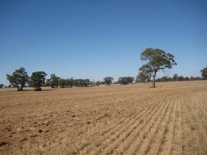 1 Cnr McKindlay Lane & Perricoota Road, Moama NSW 2731