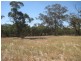 1 Cnr McKindlay Lane & Perricoota Road, Moama NSW 2731