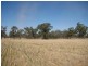 1 Cnr McKindlay Lane & Perricoota Road, Moama NSW 2731