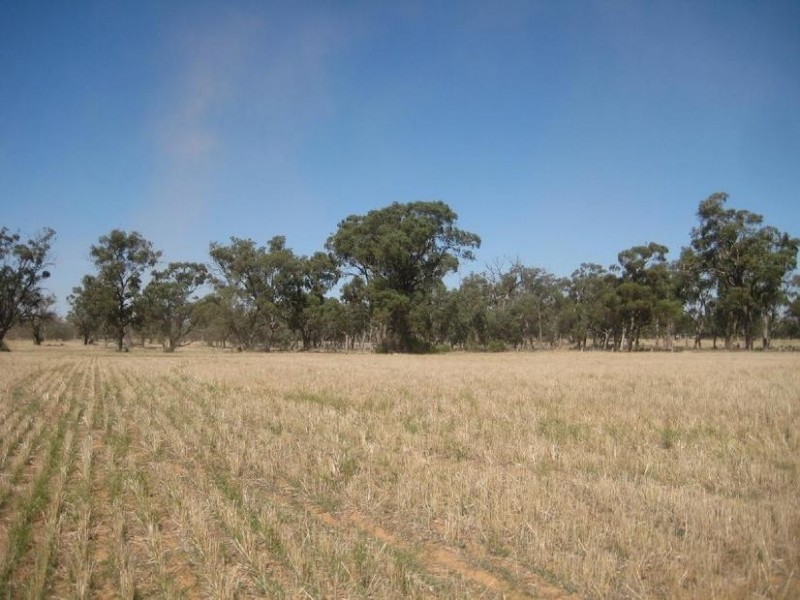 1 Cnr McKindlay Lane & Perricoota Road, Moama NSW 2731