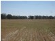 1 Cnr McKindlay Lane & Perricoota Road, Moama NSW 2731