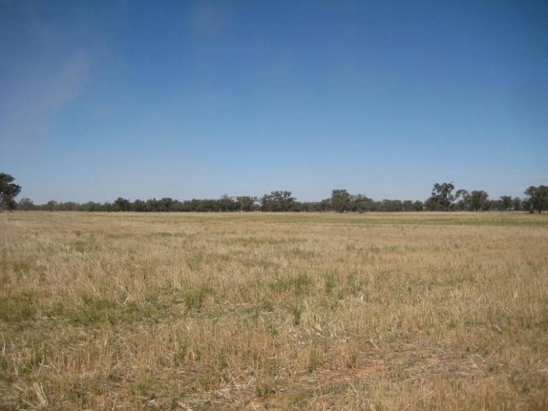 1 Cnr McKindlay Lane & Perricoota Road, Moama NSW 2731