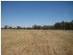 1 Cnr McKindlay Lane & Perricoota Road, Moama NSW 2731