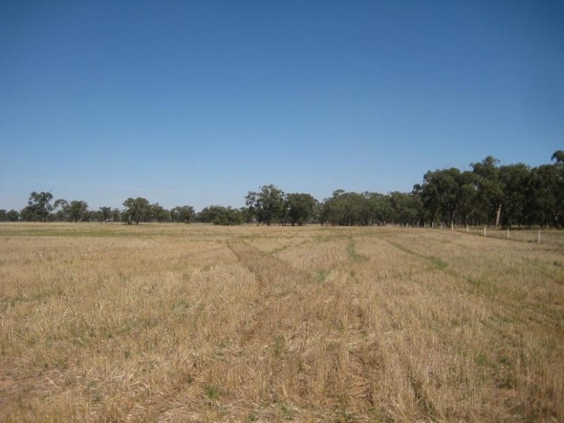 1 Cnr McKindlay Lane & Perricoota Road, Moama NSW 2731