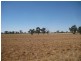 1 Cnr McKindlay Lane & Perricoota Road, Moama NSW 2731